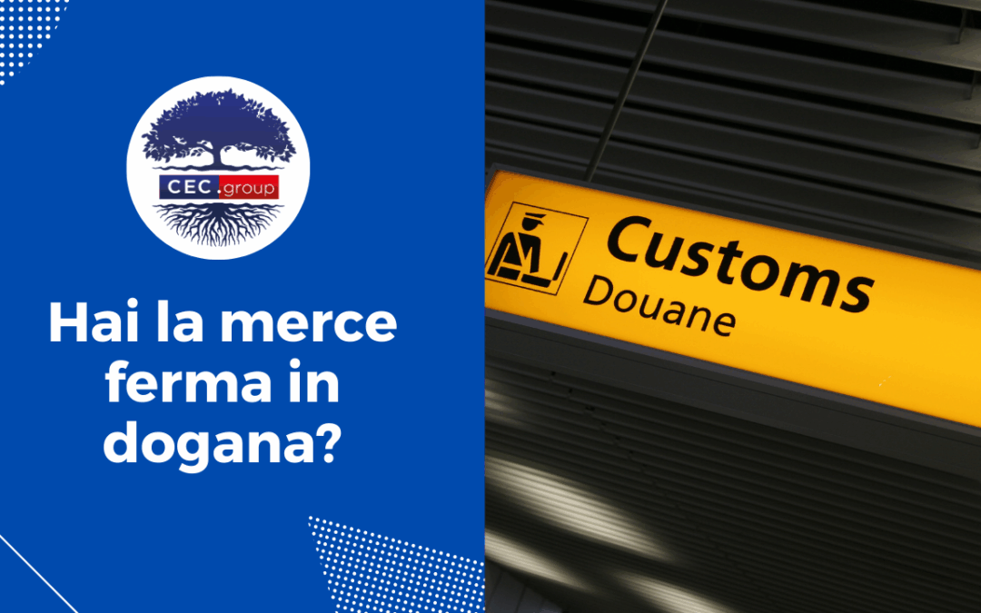 Hai la merce ferma in dogana e ti serve aiuto?